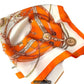 Equestrian Charm